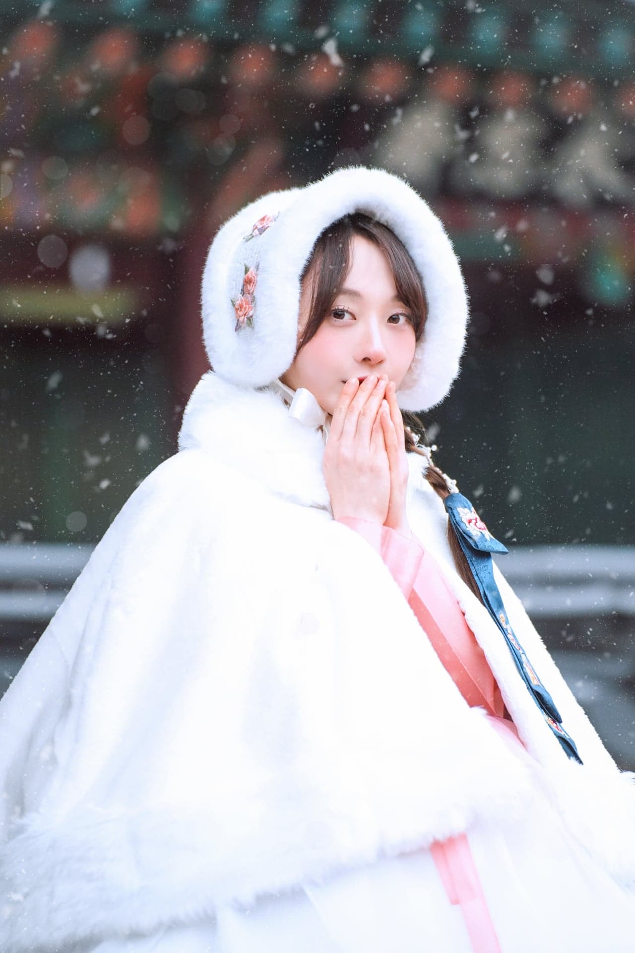 Hanboknam Gyeongbokgung · 写真 9