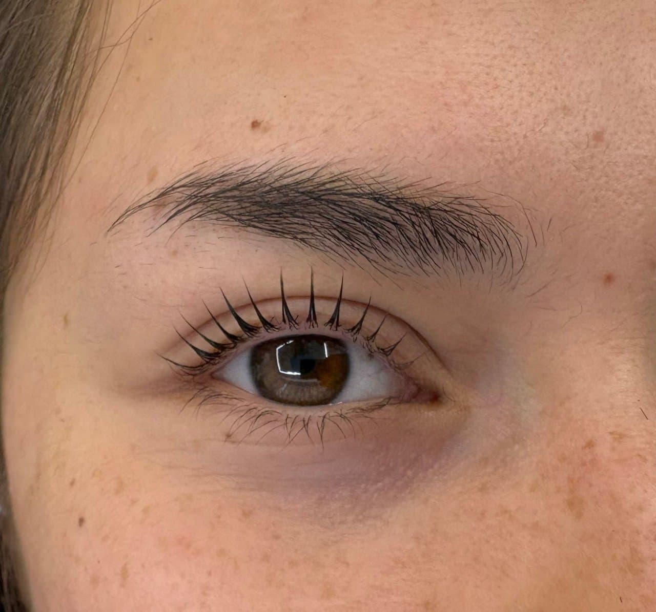 Top Brow · 写真 2