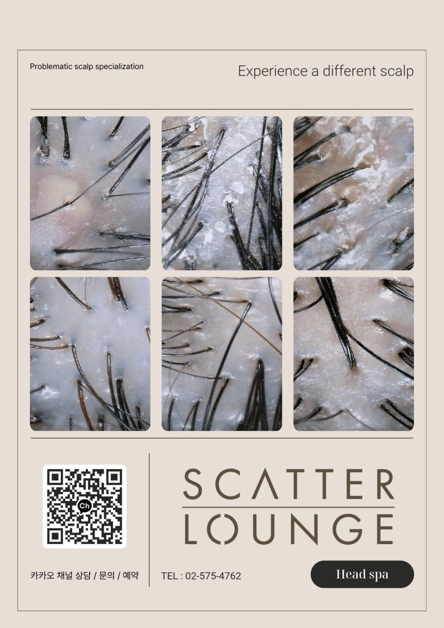 Scatter Lounge · photo 2