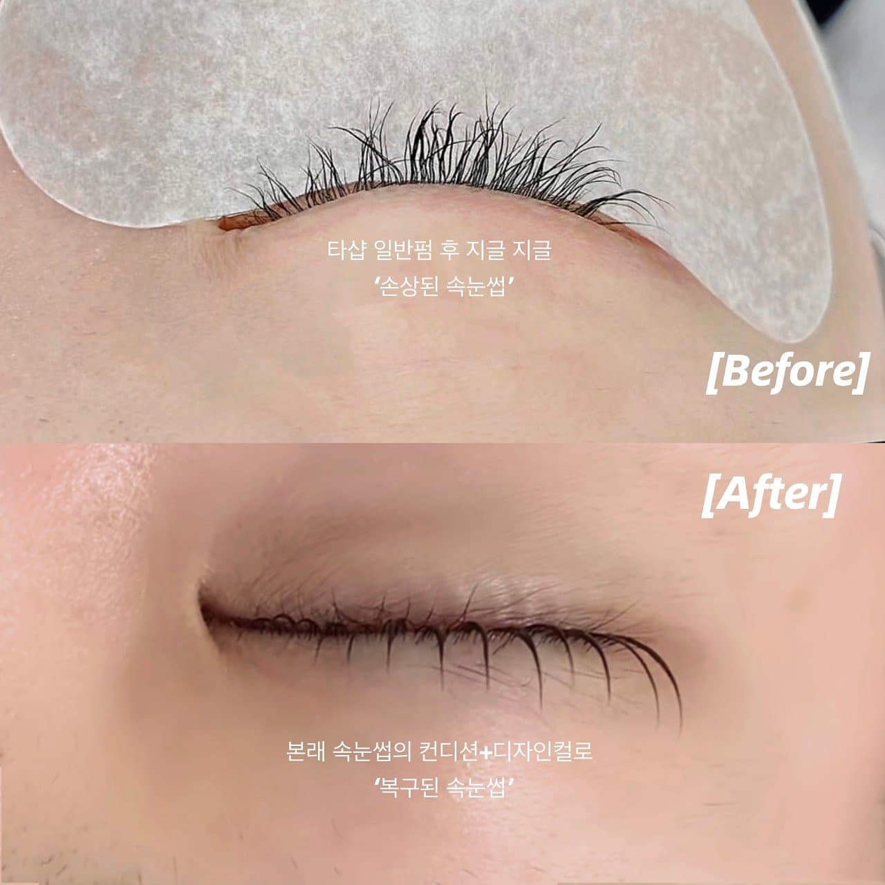 Dove Brow Studio · 写真 5
