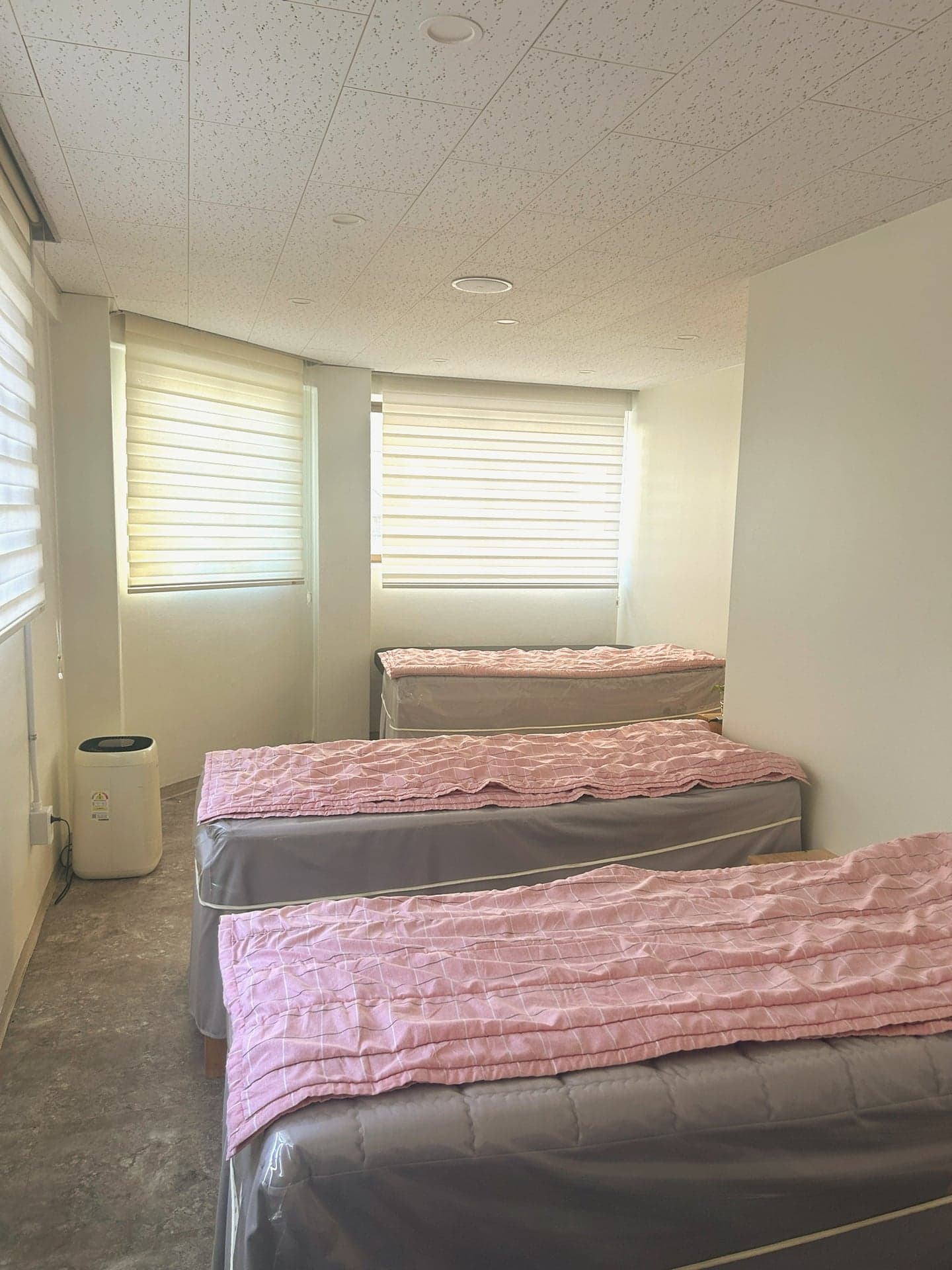 Dodam Enzyme Spa · 写真 4