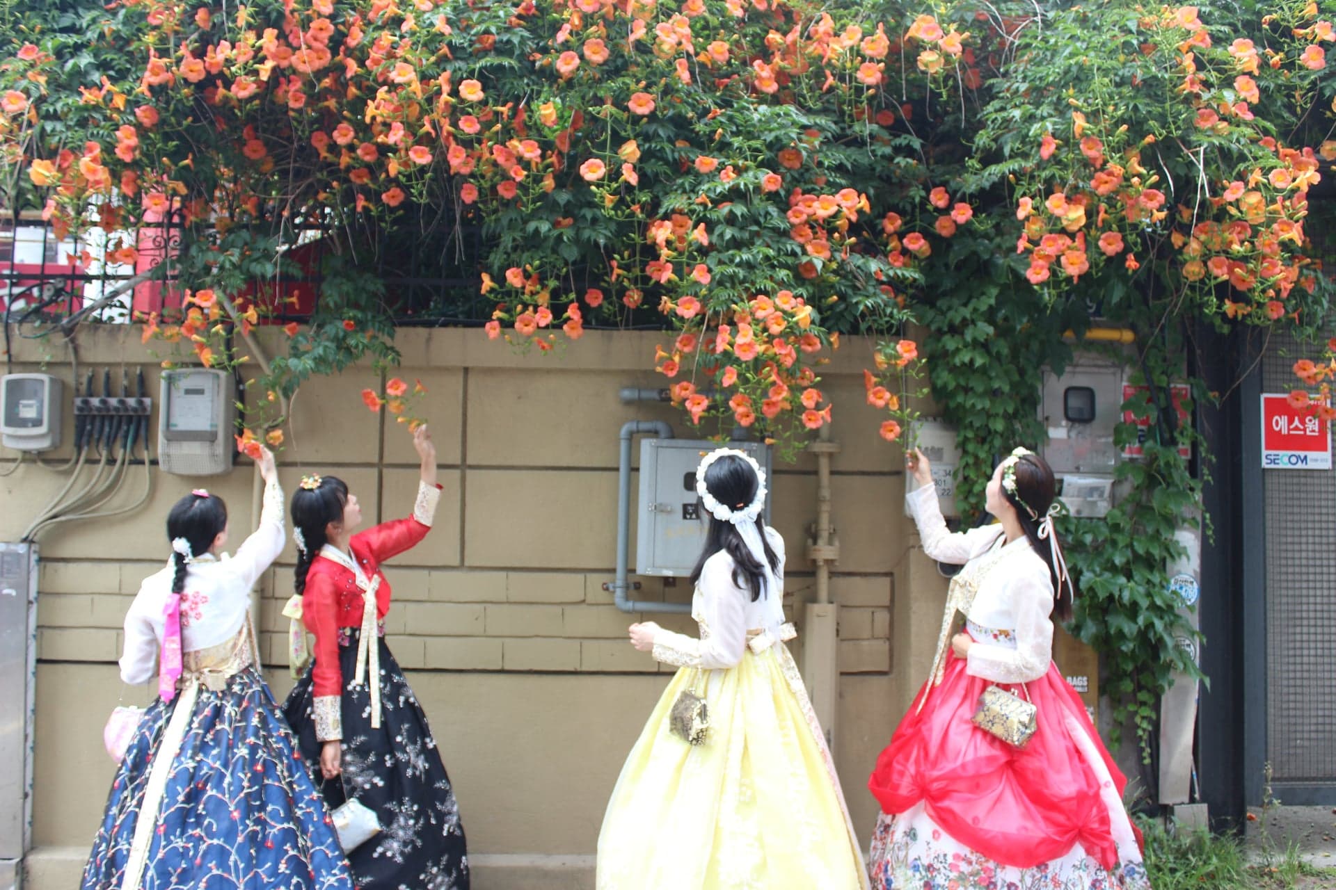Dorothy Hanbok Travel · 照片 1